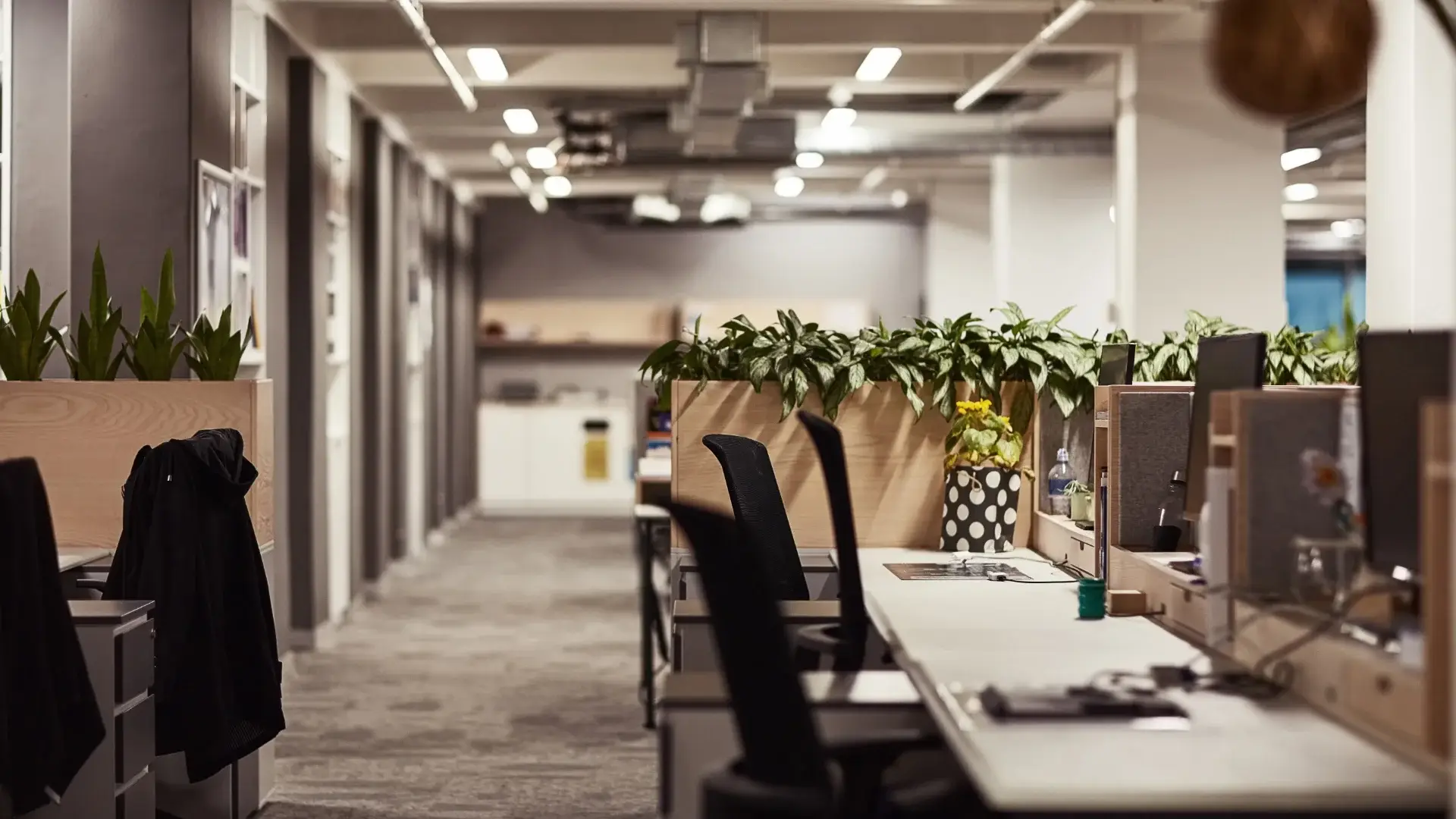 Modern office workspace with desks, chairs and plants in a professional environment